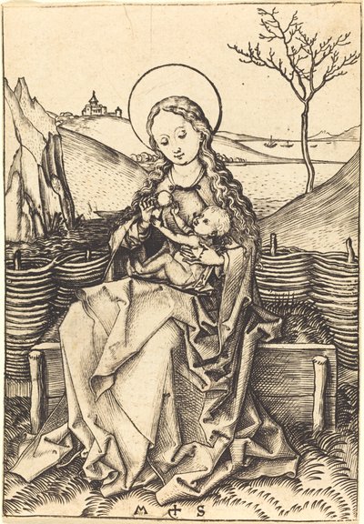 Vergine e Bambino su una Panchina Erbosa da Martin Schongauer