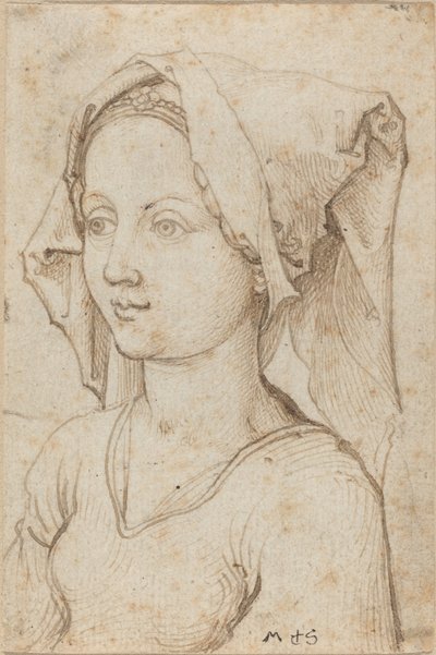 Giovane donna con una sciarpa da Martin Schongauer