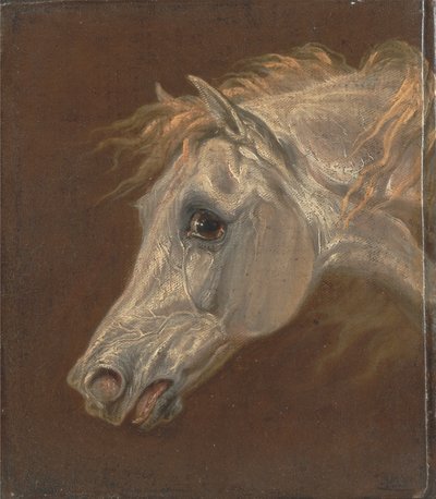 Testa di un cavallo arabo grigio da Martin Theodore Ward