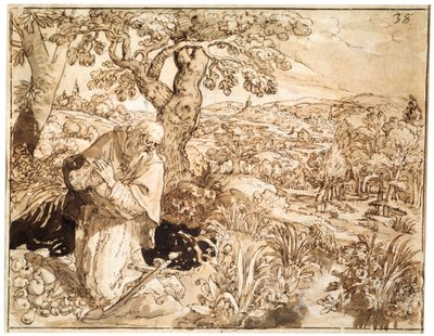 Un eremita, 1585-1586 da Maarten de Vos