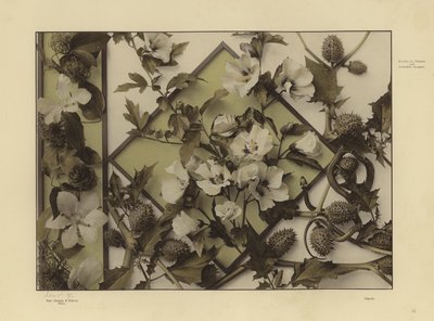 Uno dei Festons und Decorative Gruppen di Martin Gerlach da Martin senior Gerlach