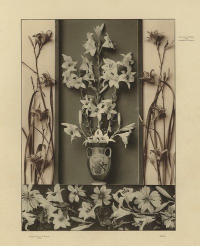 Uno dei Festoni e Gruppi Decorativi di Martin Gerlach da Martin senior Gerlach