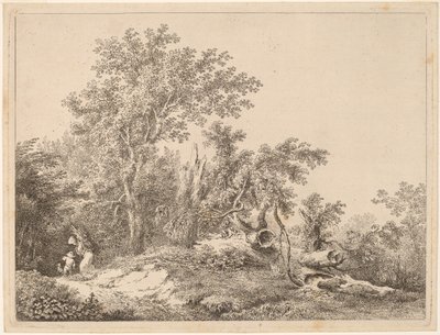 Paesaggio con albero spezzato da Martin von Molitor