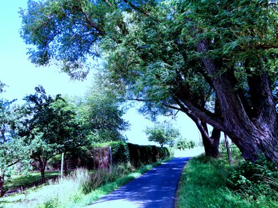 Passeggiata Serale in Estate da Martina Konitzky