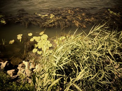 Sul fiume da Martina Konitzky