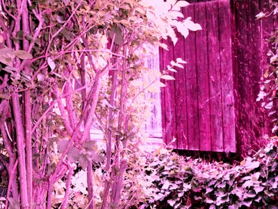 Alla casa del giardino da Martina Konitzky