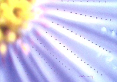 Blaue Blume da Martina Konitzky