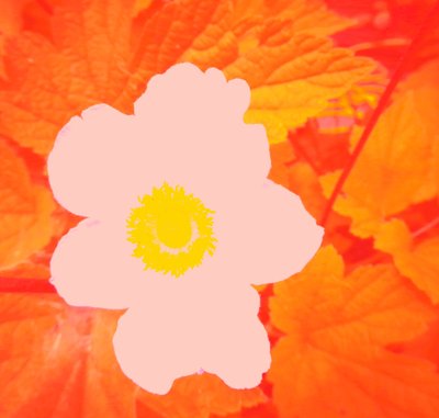 Fiore (Omaggio a Andy Warhol) da Martina Konitzky