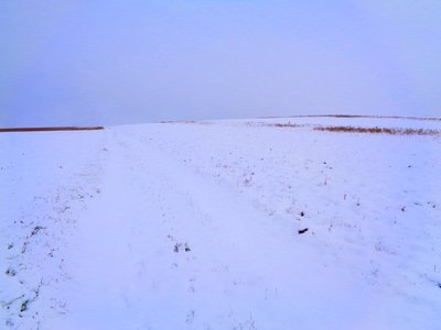 Campi in inverno da Martina Konitzky