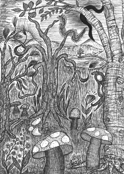 Paesaggio con funghi da Martina Konitzky