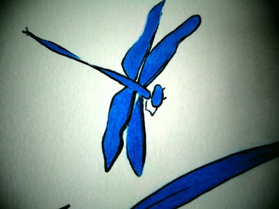 Libellula (dettaglio) da Martina Konitzky