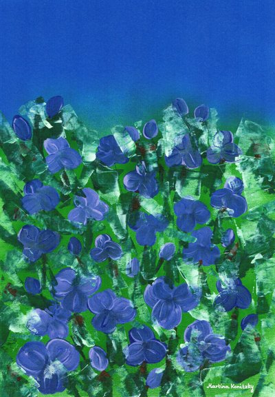 Viole da Martina Konitzky
