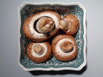 Villeroy und Boch Porcellana con Funghi da Martina Konitzky