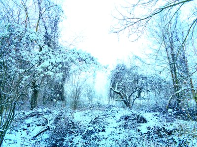 Blu invernale da Martina Konitzky