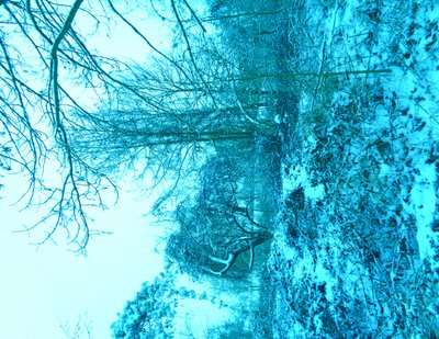 Blu invernale da Martina Konitzky