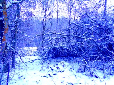 Blu invernale da Martina Konitzky