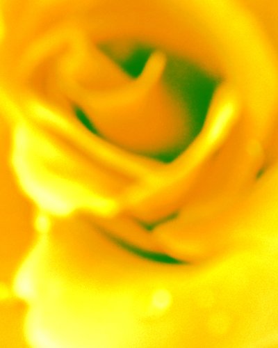 Giallo da Martina Konitzky
