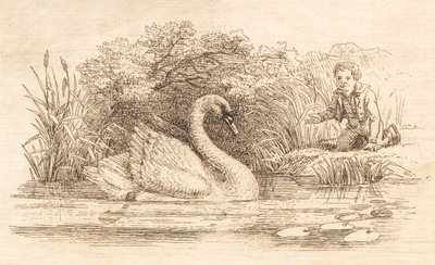 Illustrazione per "Halvhundrede Fabler for Børn" di Hey da Martinus Rørbye