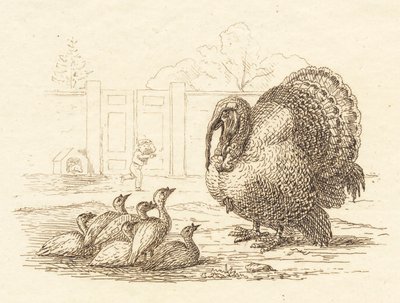 Illustrazione per "Halvhundrede Fabler for Børn" di Hey da Martinus Rørbye