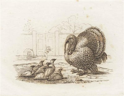 Illustrazione per "Halvhundrede Fabler for Børn" di Hey da Martinus Rørbye