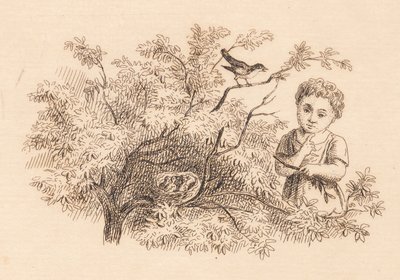 Illustrazione per "Cinquanta favole per bambini" di Hey da Martinus Rørbye