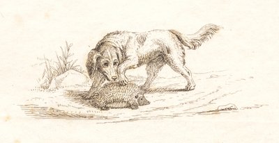 Illustrazione per "Halvhundrede Fabler for Børn" di Hey da Martinus Rørbye