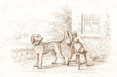 Illustrazione per "Cinquanta Favole per Bambini" di Hey da Martinus Rørbye