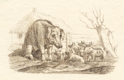 Illustrazione per "Cinquanta favole per bambini" di Hey da Martinus Rørbye