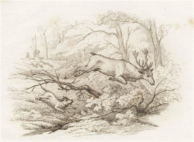 Illustrazione per "Halvhundrede Fabler for Børn" di Hey da Martinus Rørbye
