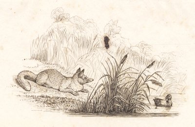 Illustrazione per "Cinquanta favole per bambini" di Hey da Martinus Rørbye