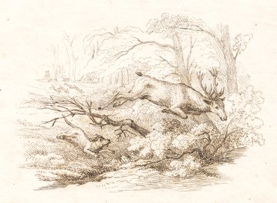 Illustrazione per "Cinquanta favole per bambini" di Hey da Martinus Rørbye