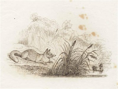 Illustrazione per "Cinquanta favole per bambini" di Hey da Martinus Rørbye