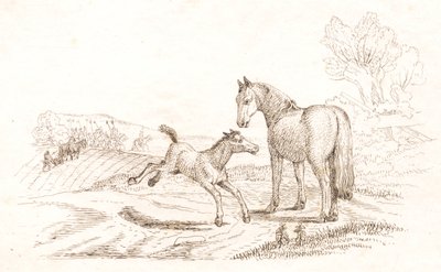 Illustrazione per "Halvhundrede Fabler for Børn" di Hey da Martinus Rørbye