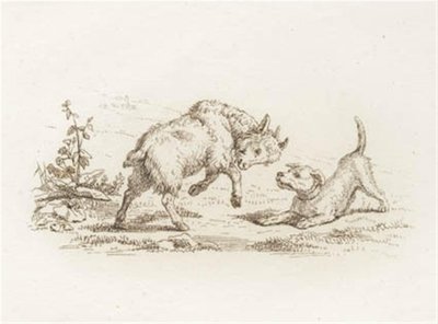 Illustrazione per "Halvhundrede Fabler for Børn" di Hey da Martinus Rørbye
