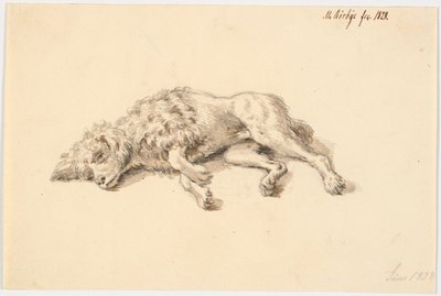 Cane barboncino sdraiato da Martinus Rørbye