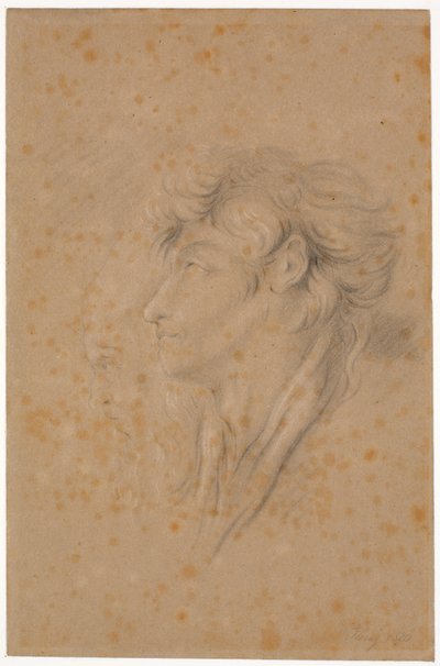 Studio di un giovane e teste di un vecchio barbuto di profilo a sinistra da Martinus Rørbye