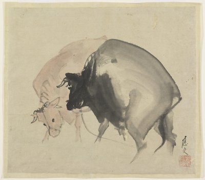 Due tori da Maruyama Oju