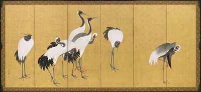 Gru, Periodo Anei, 1772 da Maruyama Okyo
