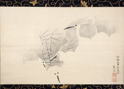 Aironi bianchi, 1769 da Maruyama Okyo