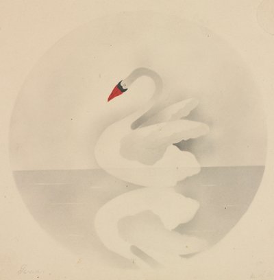 Cigno da Mary Altha Nims