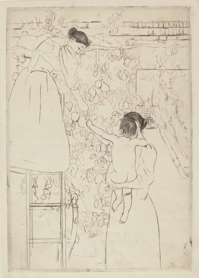 Raccolta di frutta, c. 1893 da Mary Cassatt