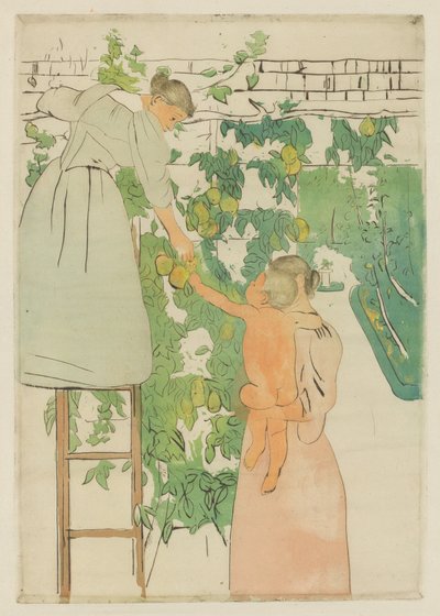 Raccolta di frutta, c. 1893 da Mary Cassatt