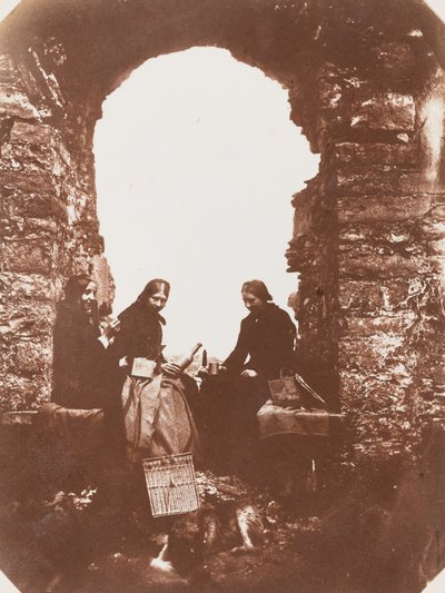 La festa del picnic, 1854 (foto) da Mary Dillwyn