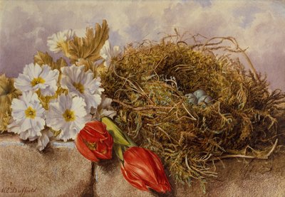 Natura Morta di Tulipani in Fiore e un Nido di Uccelli su una Mensola da Mary Elizabeth Duffield