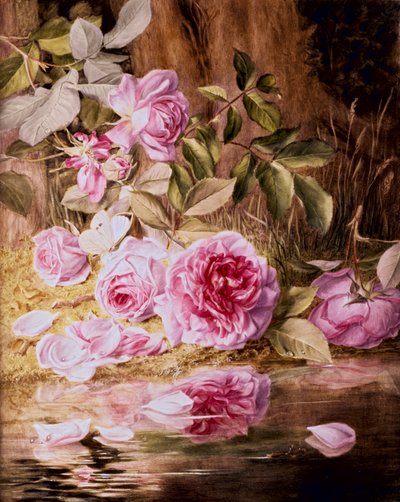 Rose di Blairie da Mary Elizabeth Duffield