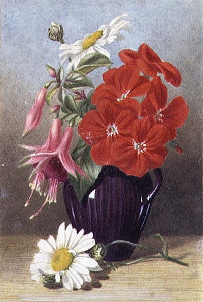 Gerani e fucsie in brocca viola smaltata da Mary Elizabeth Duffield