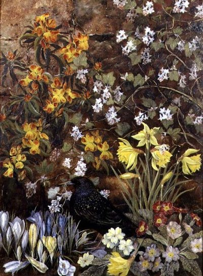 Fiori di primavera da Mary Ensor
