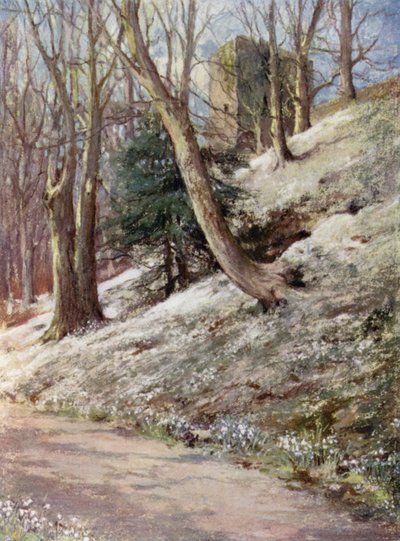 Giardini Scozzesi: Ardgowan da Mary Georgina Wade Wilson