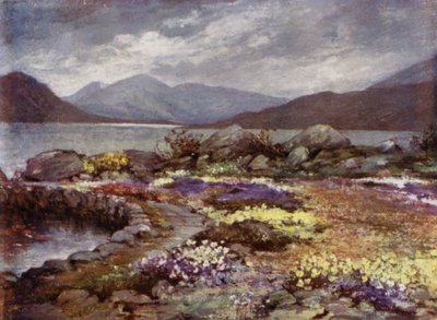Giardini scozzesi: Corrour da Mary Georgina Wade Wilson