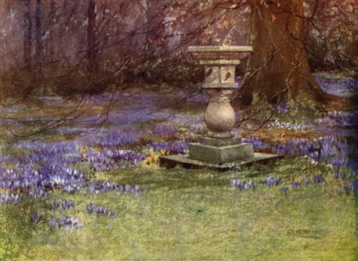 Giardini scozzesi: Whitehouse (litografia a colori) da Mary Georgina Wade Wilson
